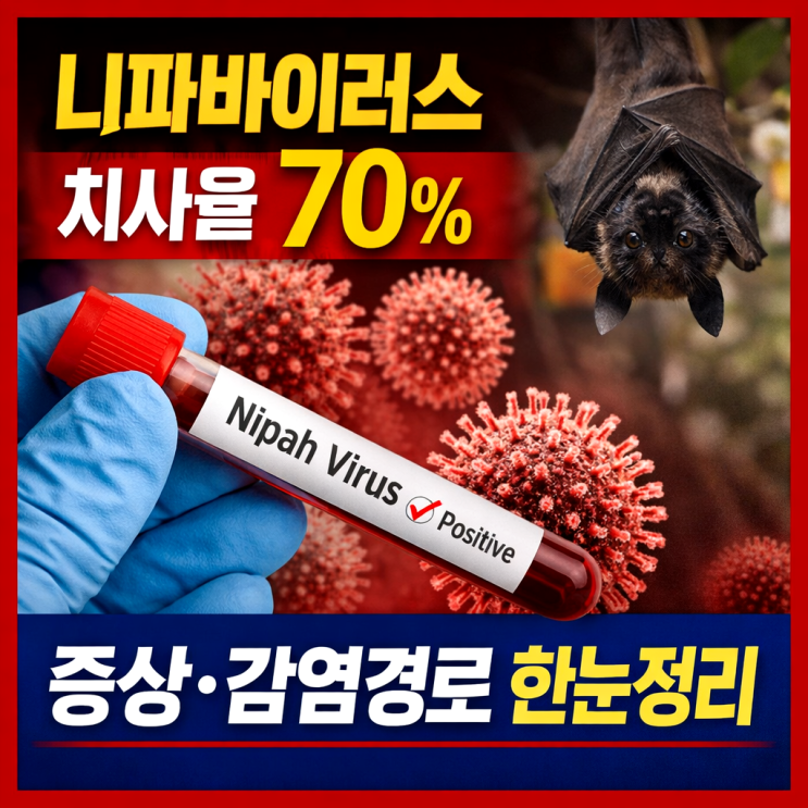  니파바이러스 치사율 70%, 증상과 감염경로 정리