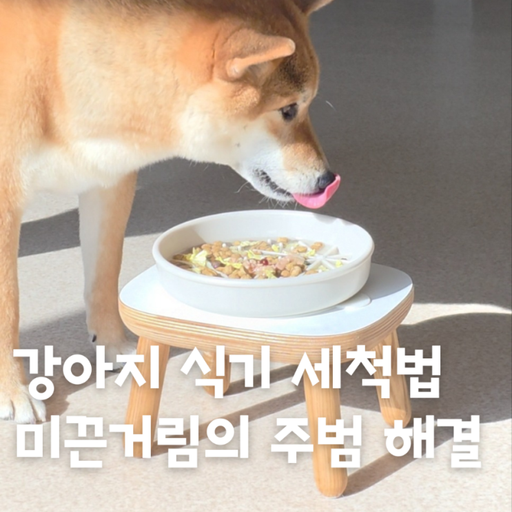  강아지 식기, 물그릇 미끈거림의 정체, 바이오필름 완벽 세척 가이드