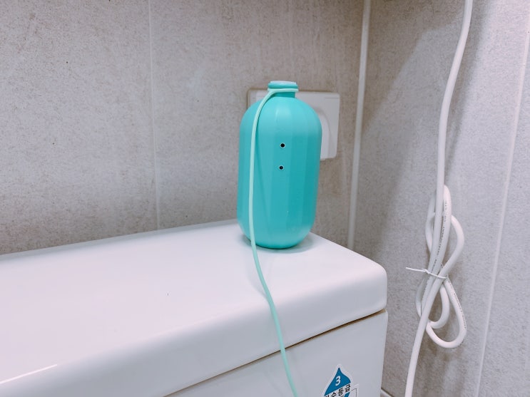 자동변기세정제 세정력 좋은 홈블린 변기클리너 사용 후기
