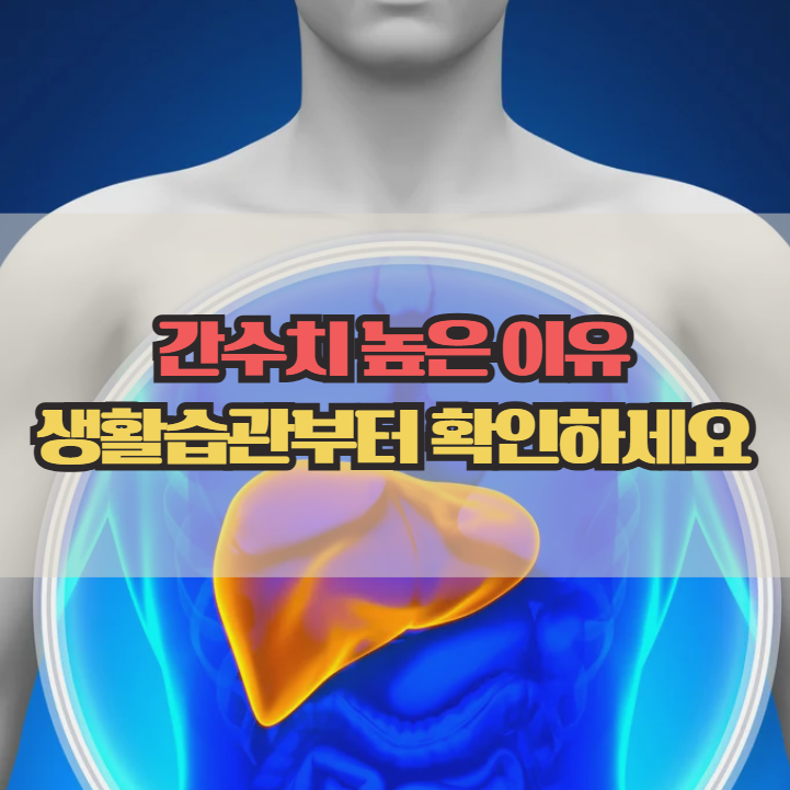  간수치 높은 이유, 생활습관부터 점검하세요