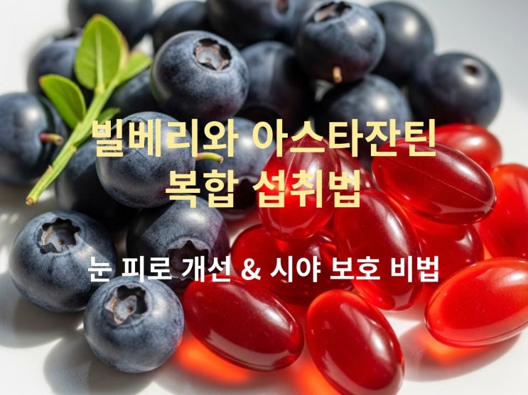  빌베리와 아스타잔틴 복합 섭취법: 눈 피로 개선 & 시야 보호 비법