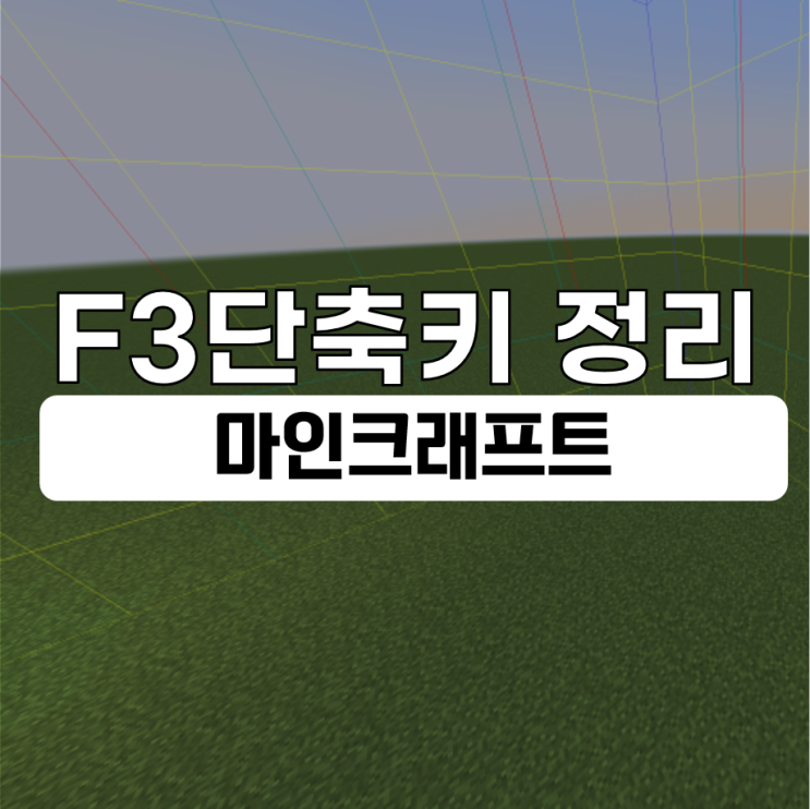  마인크래프트 F3 단축키 총 정리 (좌표 보는법, 청크 경계선)