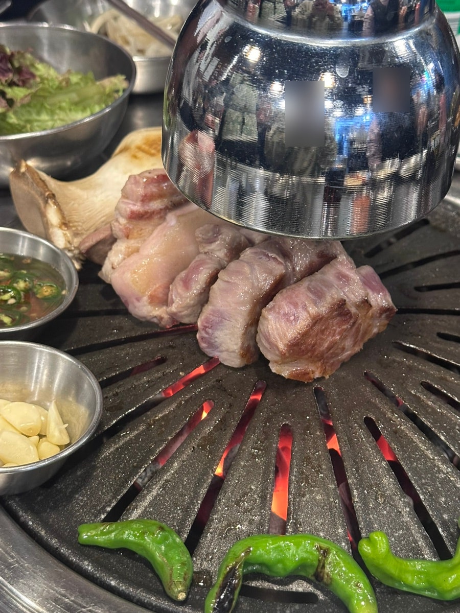 제돼로 사진 6