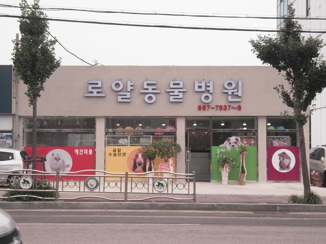 로얄동물병원 사진 1