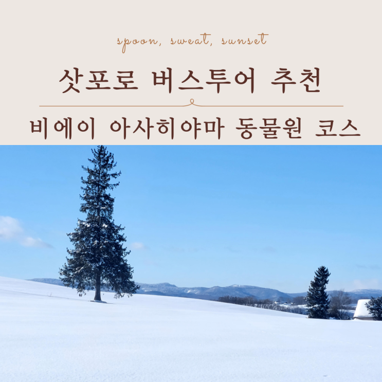  삿포로 버스투어 추천｜비에이와 아사히야마 동물원 하루 코스