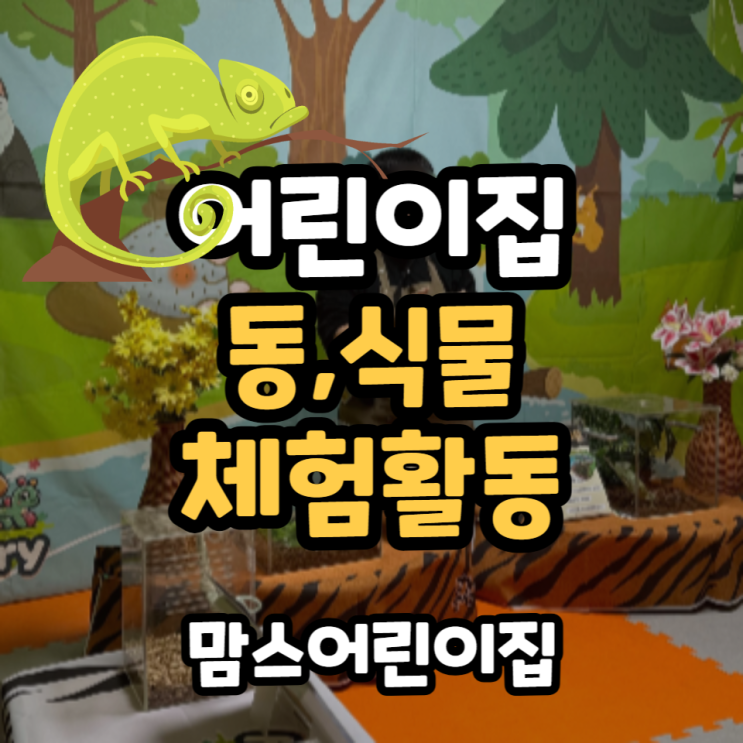  어린이집 동,식물 체험활동 파충류를 만져보는 하루