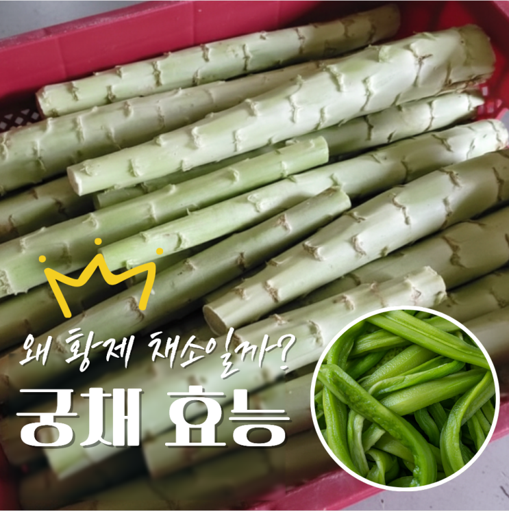  궁채 효능 부작용 요리법 나물 장아찌