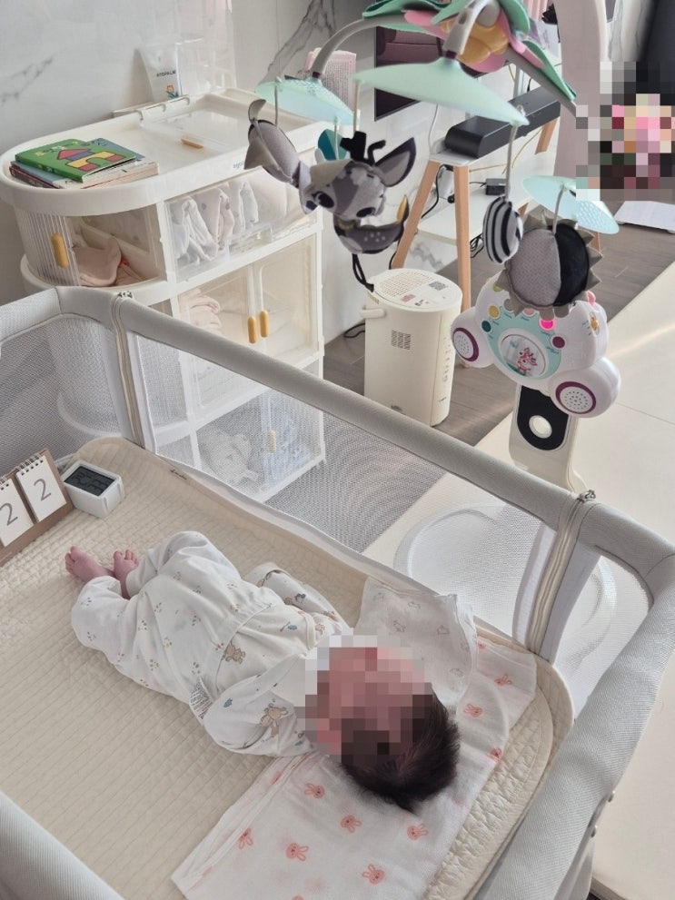  내돈내산 신생아 가습기 구매 고군분투기 (르젠, 다룸, 조지루시)