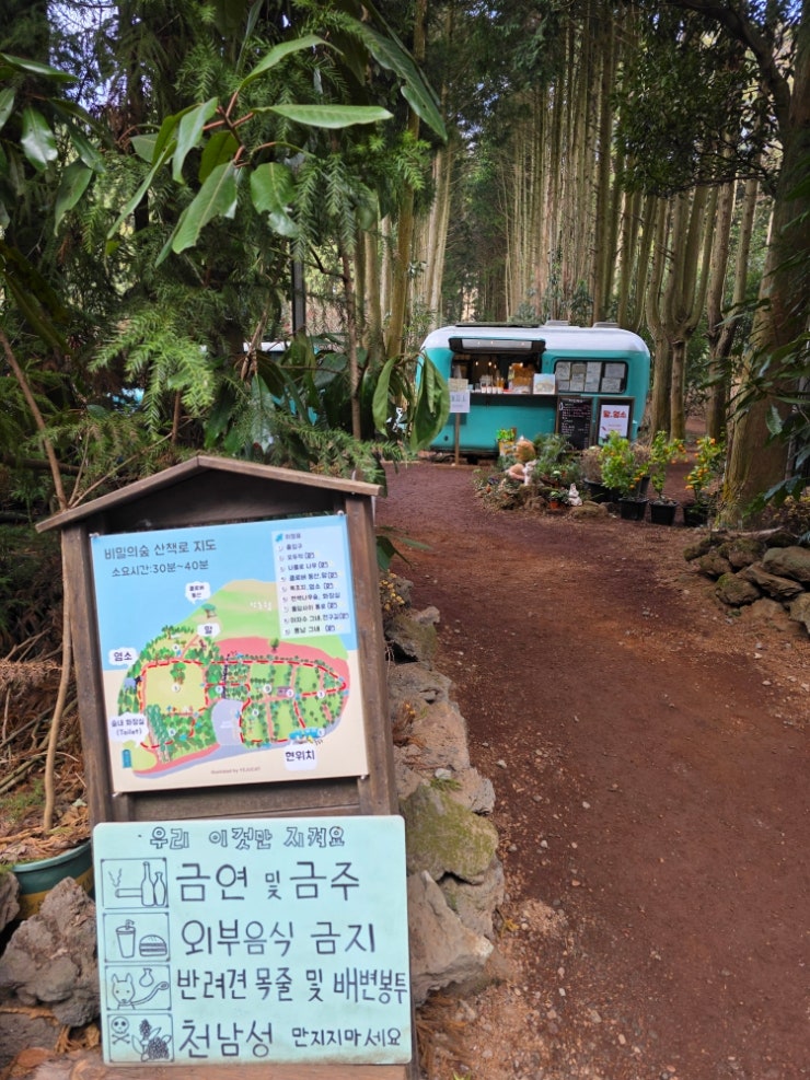 겨울 제주도 가볼 만 한 스팟비밀의숲(구좌읍 송당리)