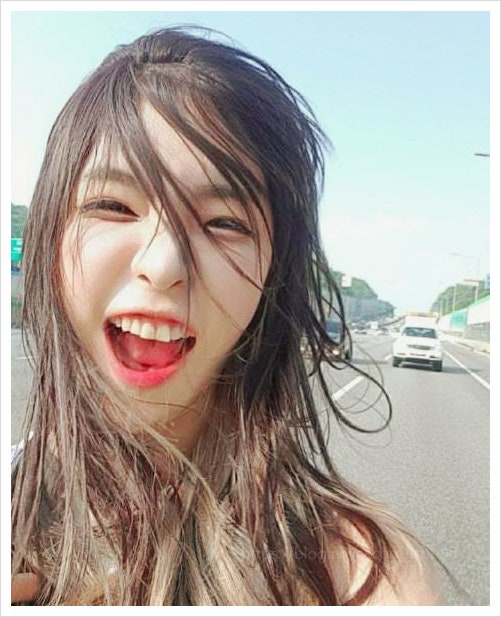 BJ 로봉순의 두 얼굴: 4억 횡령 실형부터 2026년 복귀까지 사건 사고 총정리