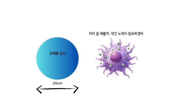 [아이써마지 + 쥬베룩아이] - 피부과전문의 닥터림