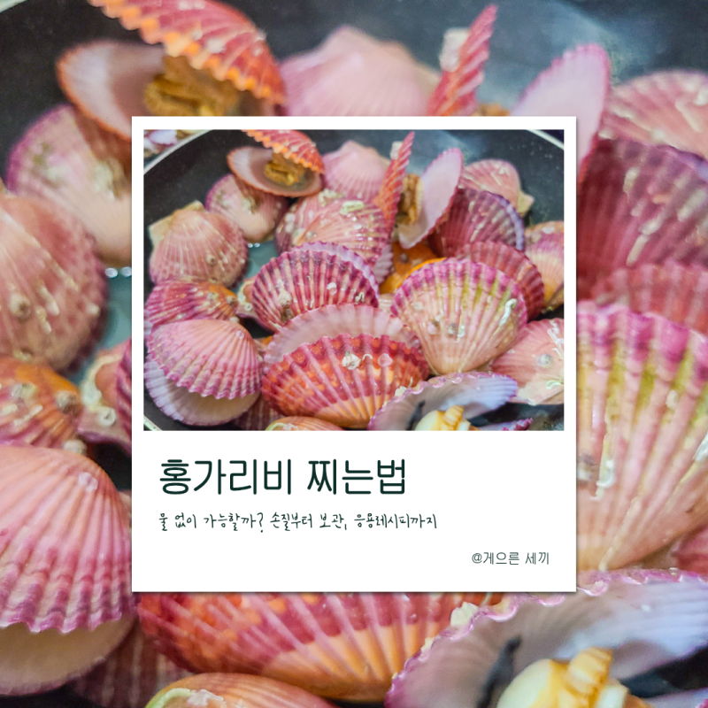홍가리비 찌는법, '이거' 없이 가능?손질부터 보관 응용 레시피까지