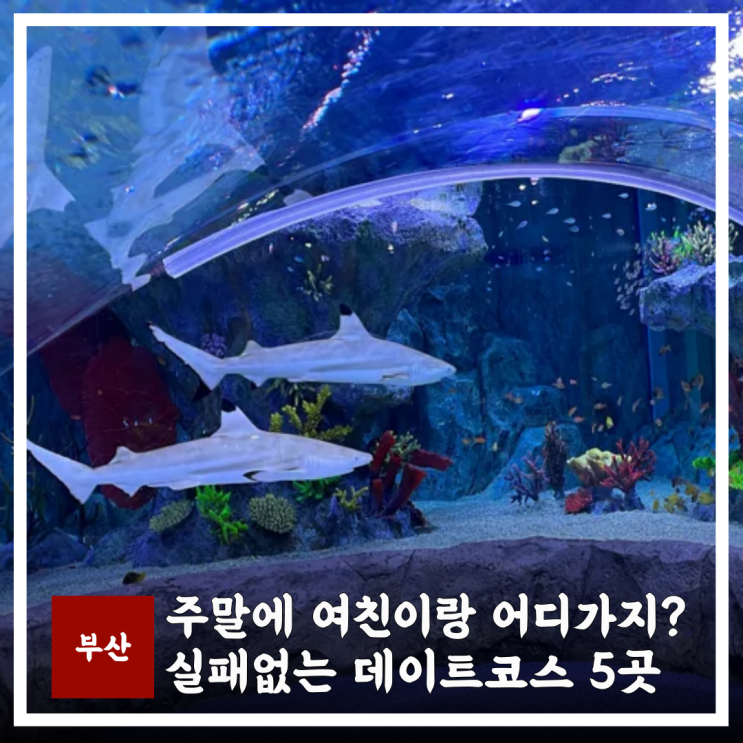 부산놀거리 실내 데이트 코스 비 오는 날도 실패 없는 일정 추천 5곳