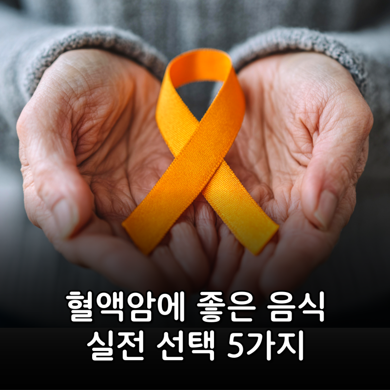 혈액암에 좋은 음식, 회복을 버티는 힘을 만드는 실전 선택 5가지