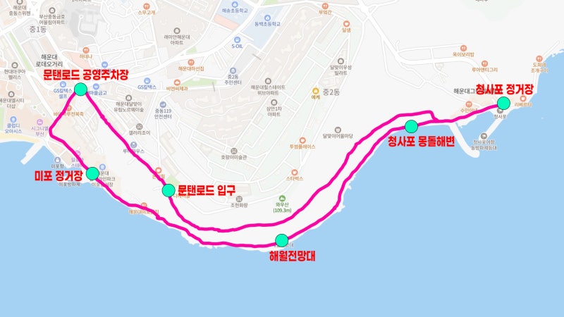 사진 7