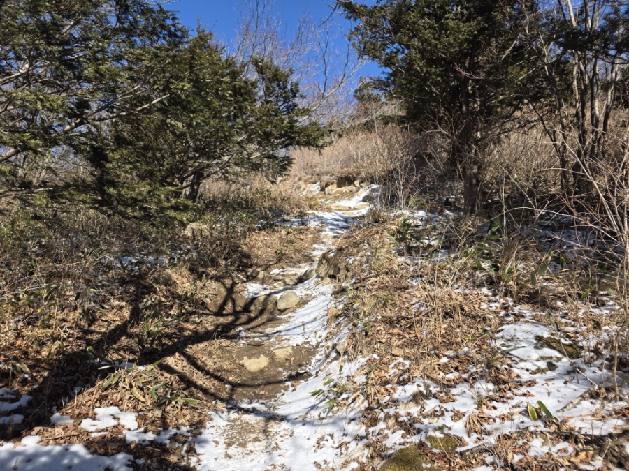 초막골 사진 6