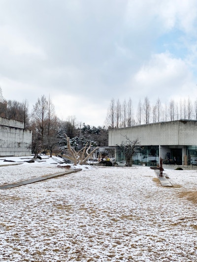 사진 7
