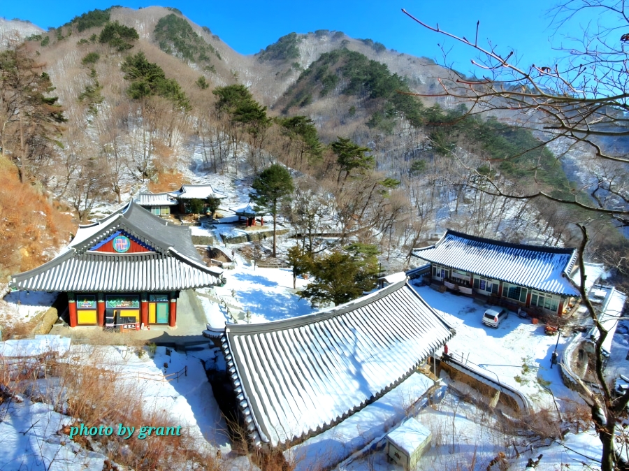 소백산산내음 사진 3