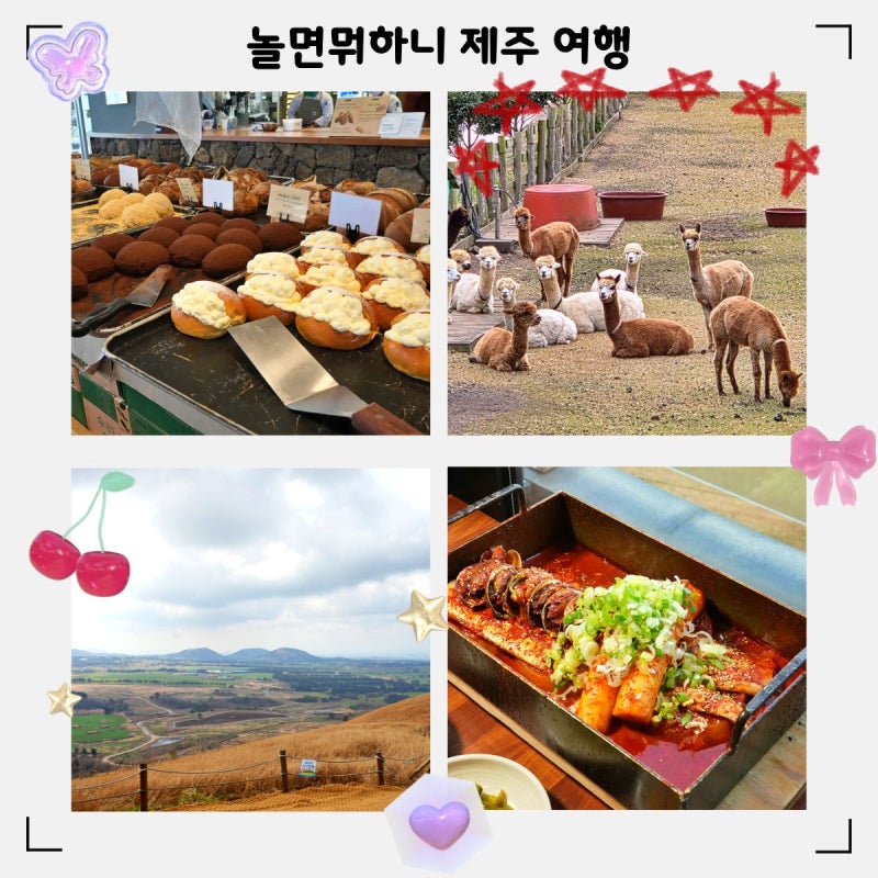 사진 2