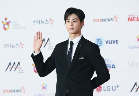  차은우 200억 추징 논란의 핵심: 가족 법인 구조와 실질과세원칙