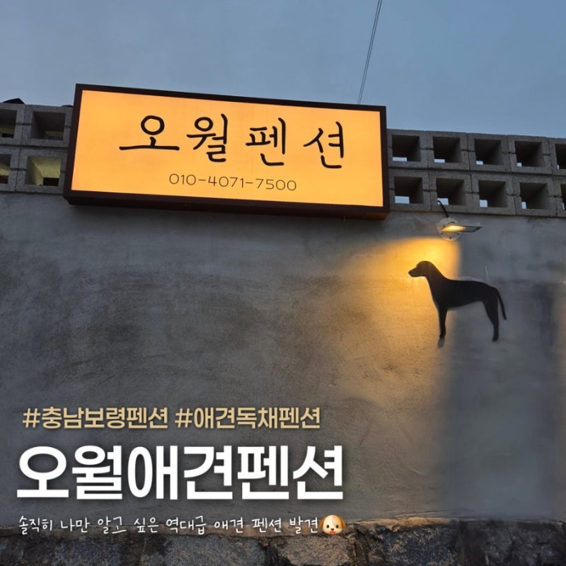 사진 13