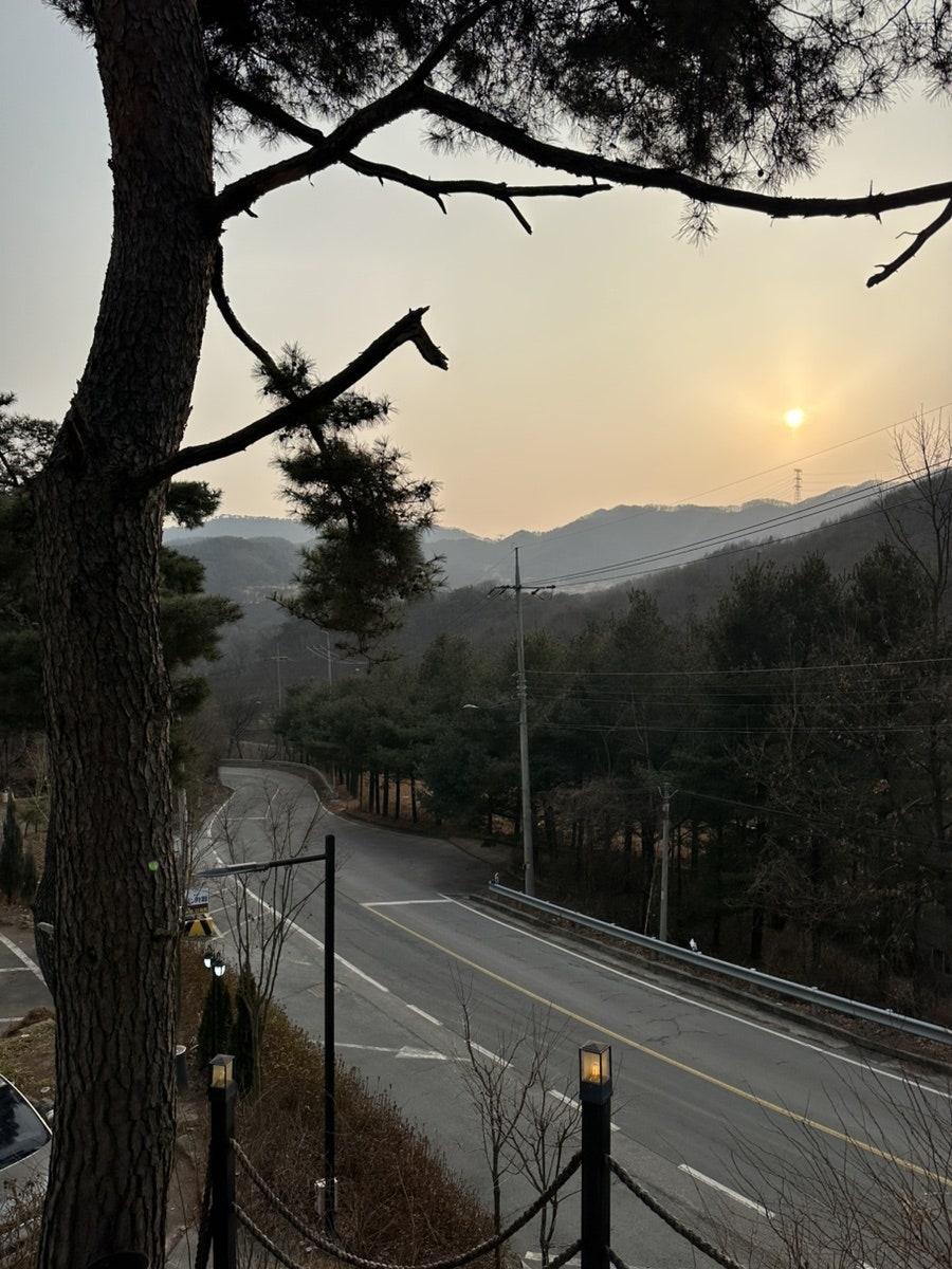 림에서머물다 사진 5
