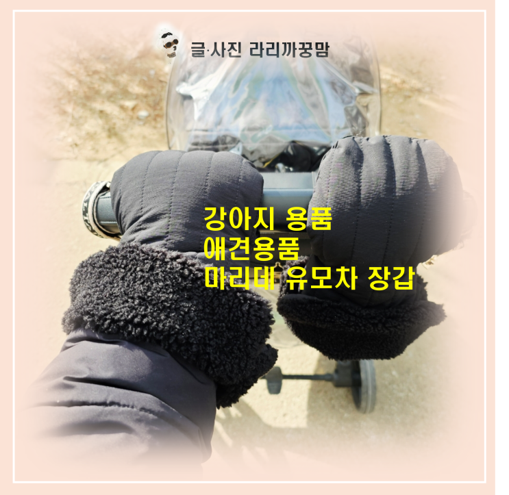  강아지 용품만 고집하지 마세요! 노령견 보호자 필수템 마리데 유모차 장갑