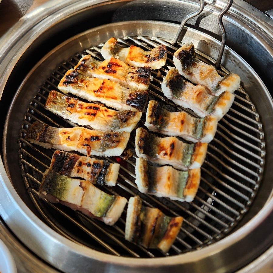 참장어 사진 1