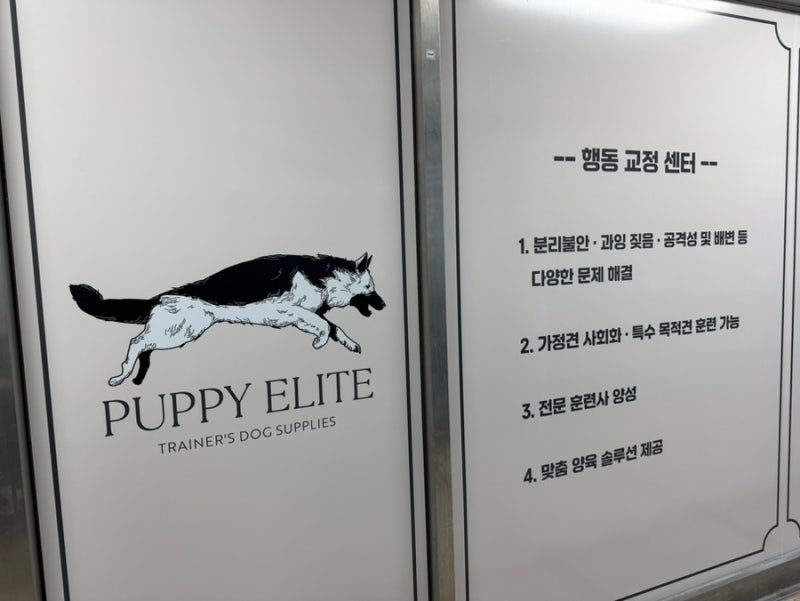 사진 5