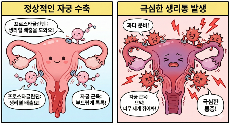 매달 반복되는 [생리통] 진통제로만 버티고 계신가요? (논문으로 보는 생리통한약)