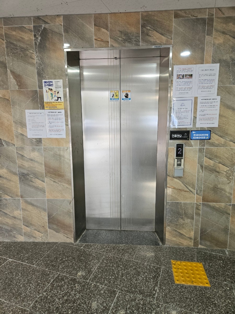 피코엘로 사진 3
