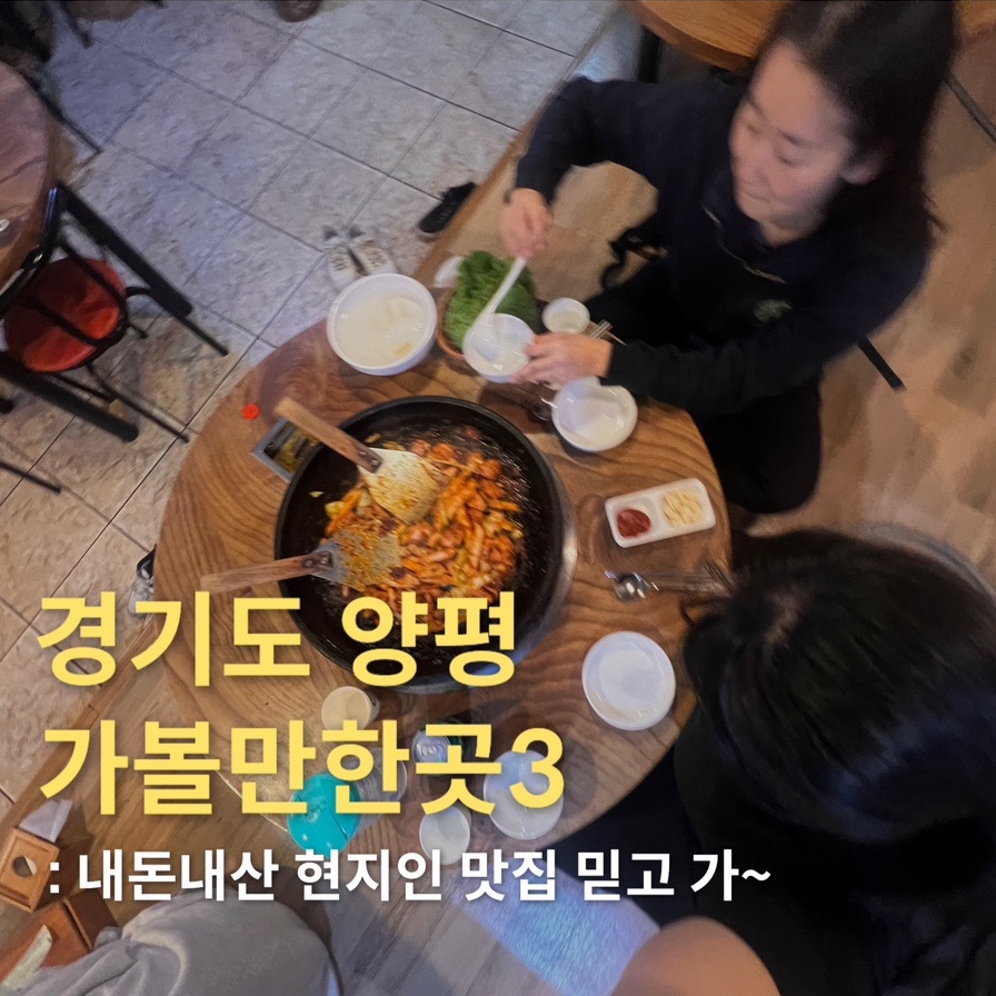 후리지아 사진 1