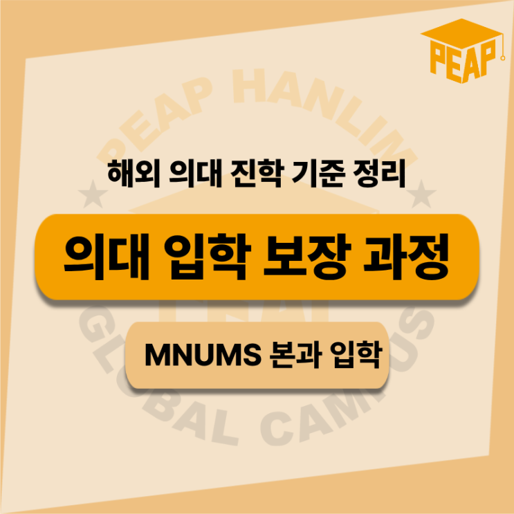  해외 의대 진학, 입학 보장이 가능한 선택지
