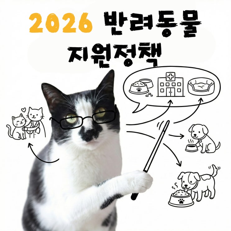  2026 반려동물 지원금 의료비 신청방법 및 지자체별 혜택 총정리