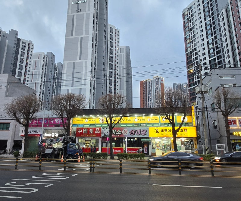 사진 3