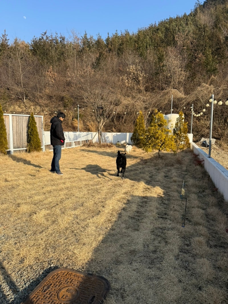 사진 6