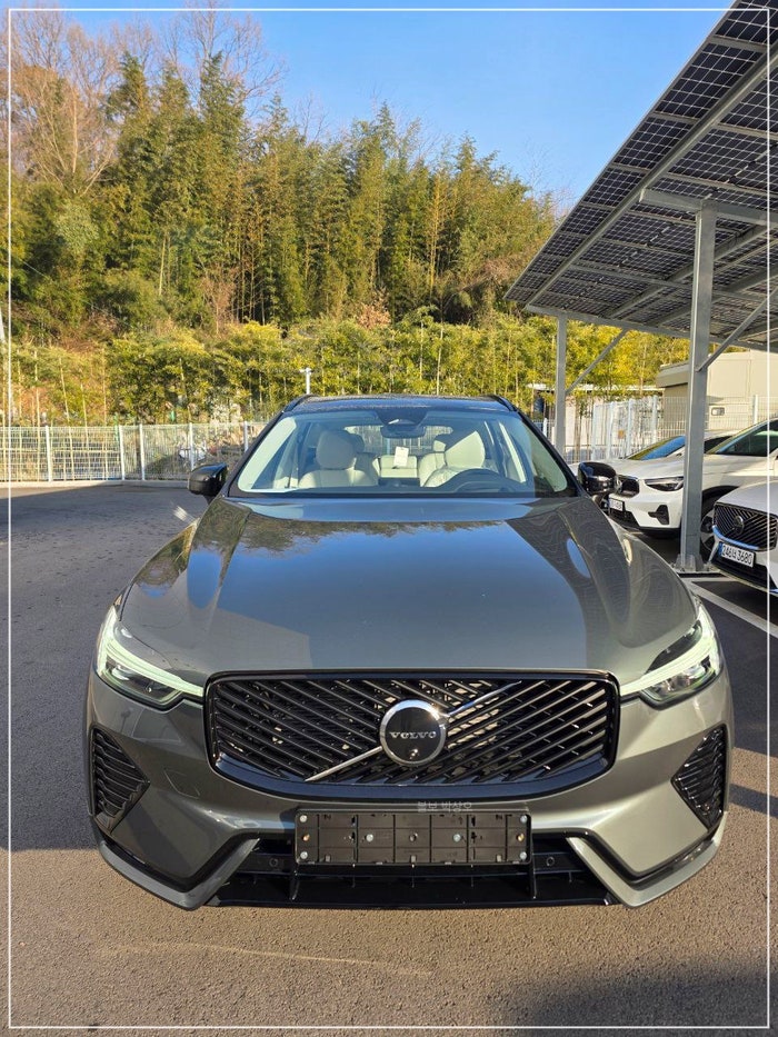 신형 볼보 XC60, 포레스트 레이크(Forest Lake), 자연의 감성으로 완성된 컬러