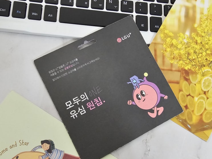  유플러스 선불폰 개통 모두의 유심 원칩 활용법