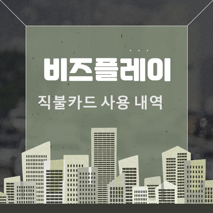 비즈플레이 주식회사 직불카드 내역 확인