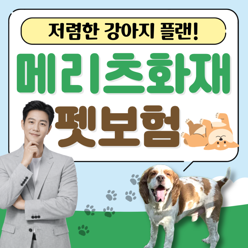 메리츠 화재 펫보험 준비 후기와 강아지 보험 꿀팁 정리