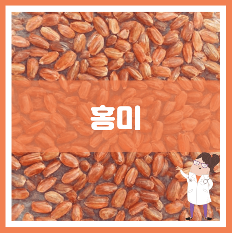  홍미 효능 부작용 먹는 방법