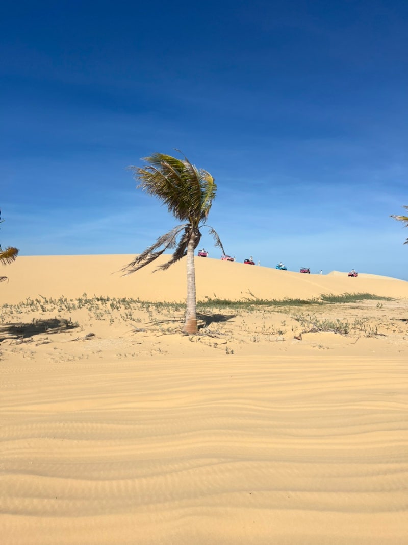 Phan Rang desert landscape