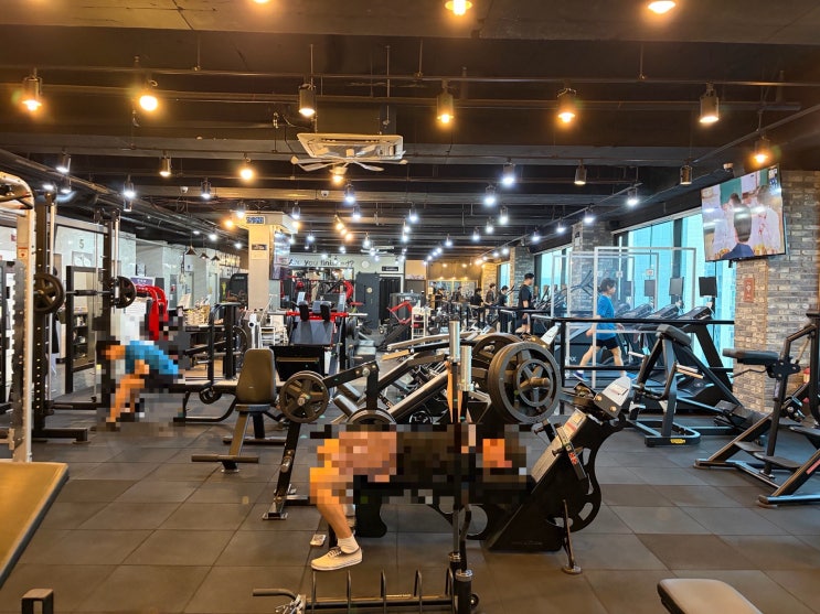  봉담헬스장 로얄바디 피트니스 등록기, 겨울 살 빼기 도전일기