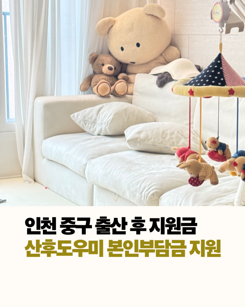 2026년 산후도우미 본인 부담금 지원금 환급, 인천 산후도우미 업체 굿베베 후기