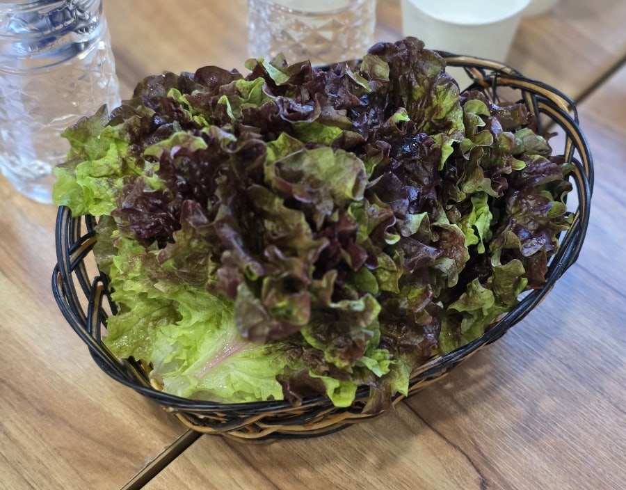 지리산흑돼지 사진 4