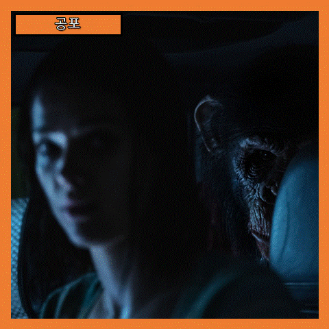  [공포] 침팬지의 역습 생존을 향한 공포의 풀 파티 <프라이메이트-Primate> 줄거리 리뷰 분석 후기