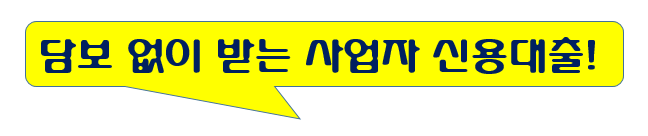 "사업자 신용대출 완벽정리 / 개인사업자·법인 대표 필독 가이드"