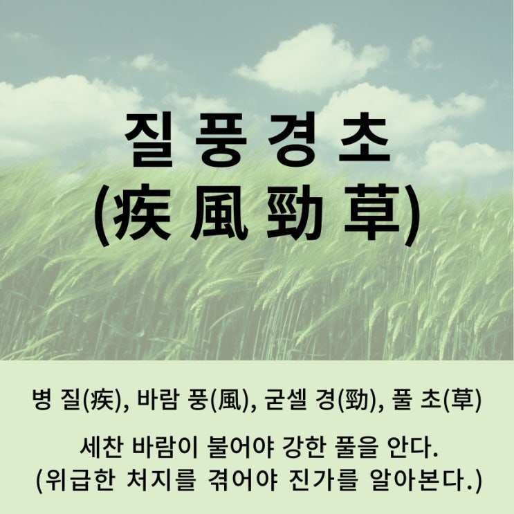  고사성어 뒤집어 보기 (95. 질풍경초)