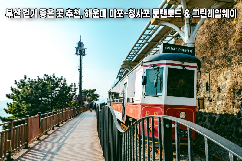 사진 6