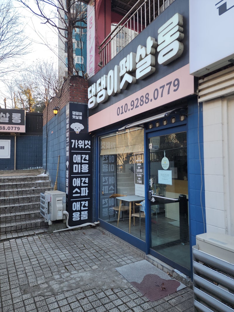 사진 5